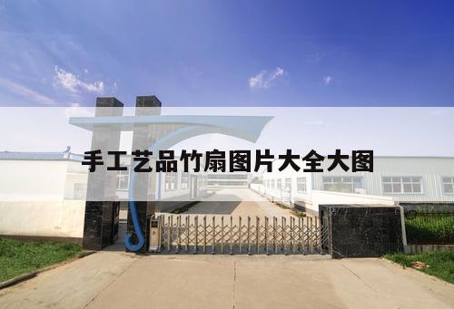 手工艺品竹扇图片大全大图